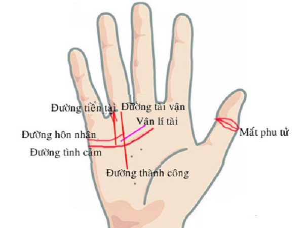 Đường hôn nhân viên mãn có đường chỉ tay như thế nào?