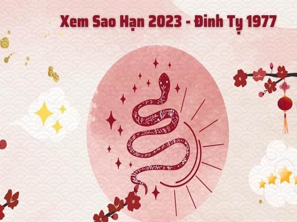Luận đoán vận hạn Đinh Tỵ năm 2023 nữ mạng ra sao?