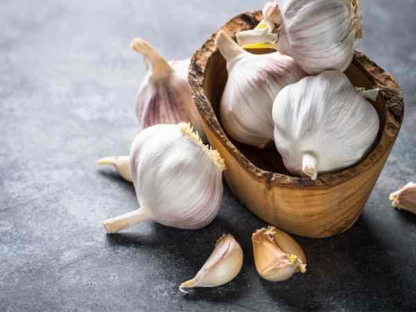 Mơ thấy củ tỏi có ý nghĩa gì, tham khảo con gì dễ trúng?