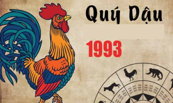 Tử vi tuổi Quý Dậu hôm nay: Vận khí - Tài lộc - Tình duyên