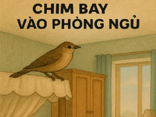 Giải thích hiện tượng chim bay vào phòng ngủ theo góc nhìn khoa học