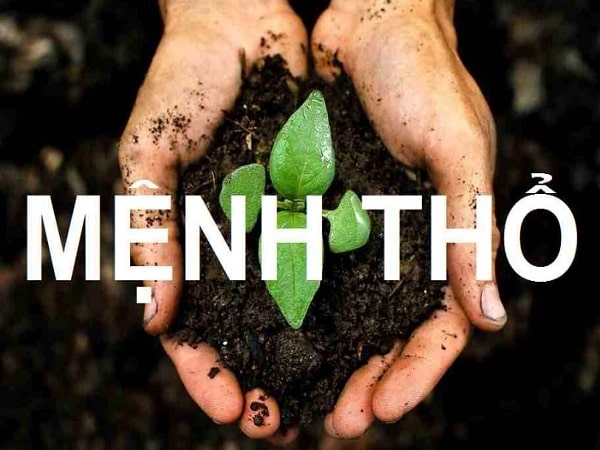 Đặc điểm nổi bật của người mệnh Thổ