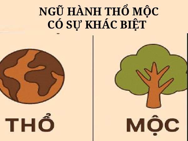 Ngũ hành Thổ và Mộc – sự khác biệt trong bản chất