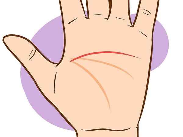 Luận ý nghĩa 3 đường chỉ tay chụm lại