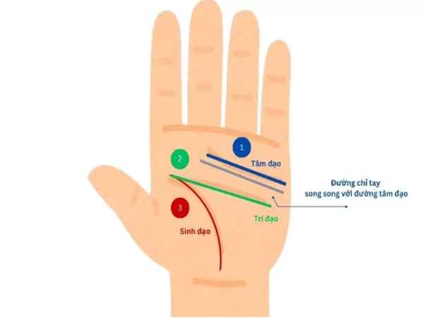 Đường chỉ tay song song (song đạo) – Biểu tượng của sự bảo hộ