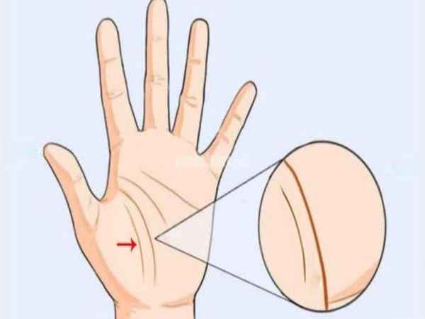 Thế nào được xem là những đường chỉ tay hiếm có khó tìm