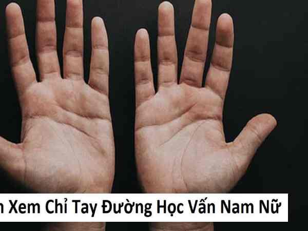 Xem đường học vấn qua chỉ tay nam giới