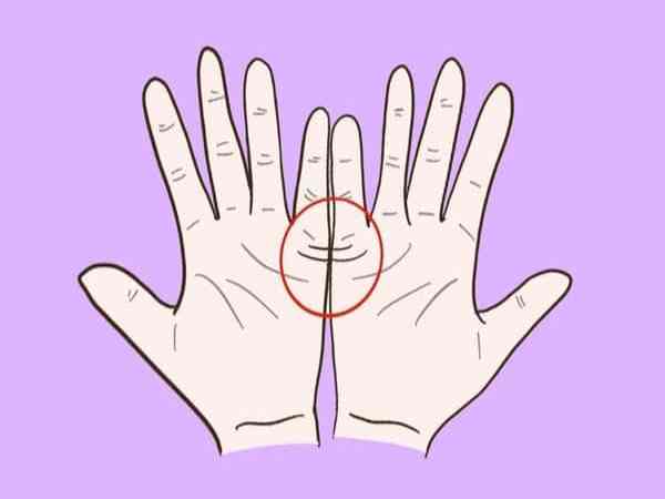 Chỉ tay đường con cái là gì?