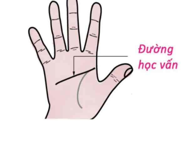 đường chỉ tay học vấn