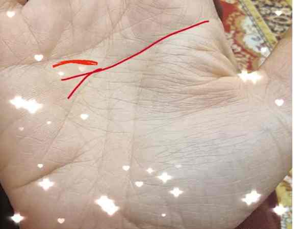 Đường trí đạo đuôi cá – Biểu tượng của trí tuệ và may mắn