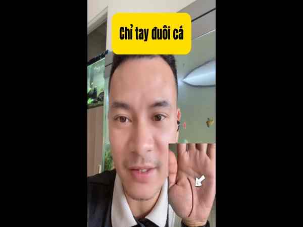 Đường chỉ tay đuôi cá có ý nghĩa gì?