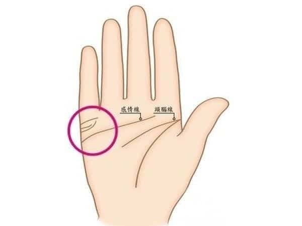 Đoán vận mệnh tính cách qua đường chỉ tay dưới ngón áp út
