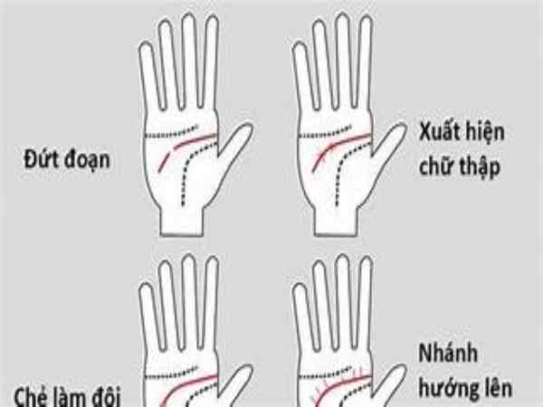 Xem đường học vấn qua chỉ tay nữ giới
