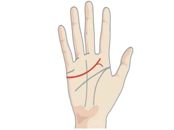 Về công danh – sự nghiệp của người có đường chỉ tay căn tu