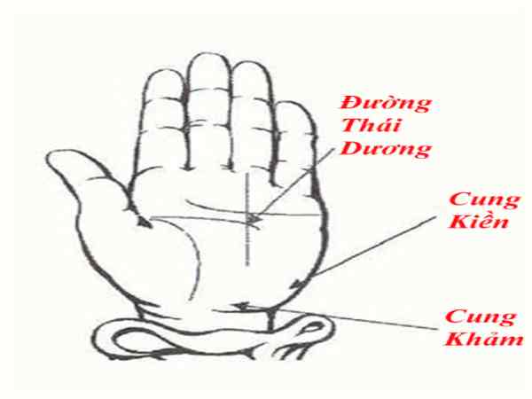 Đường Thái Dương rõ, sâu và liền mạch
