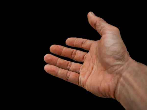 Các kiểu chỉ tay sự nghiệp khác