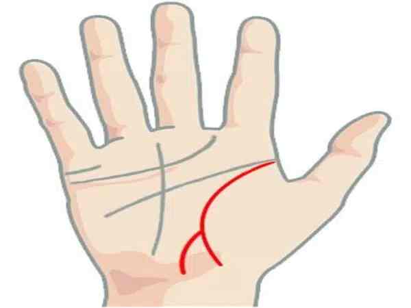 Chỉ tay đuôi cá ở đường sinh đạo
