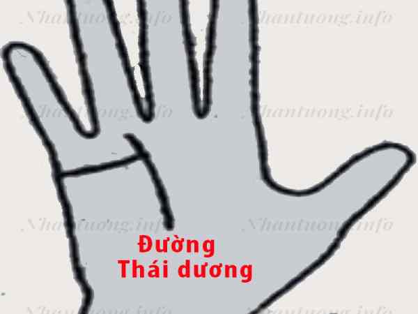 Đường Thái Dương là gì?
