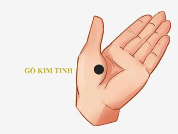 Gò kim tinh là gì?