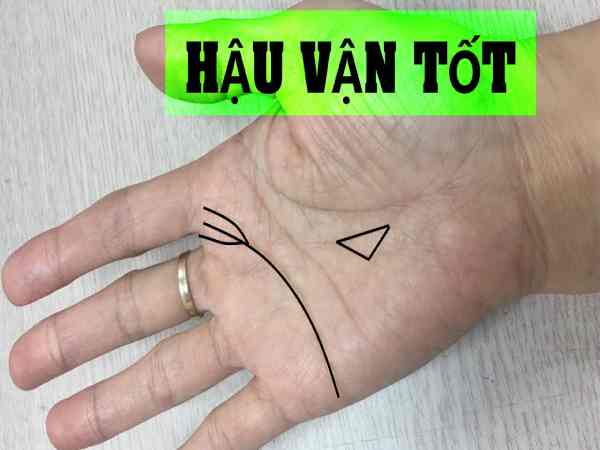 Đường chỉ tay đuôi phượng mang đến điều gì cho cuộc sống?