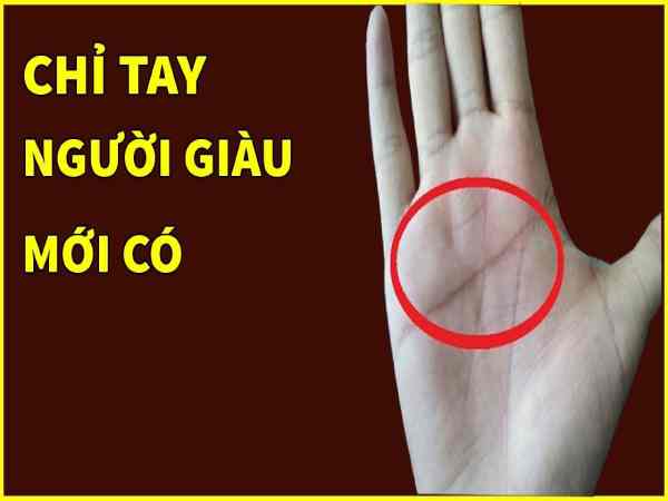 Xem đường chỉ tay giàu có ở phụ nữ