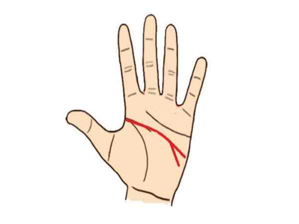 đường trí đạo rẽ 2 nhánh