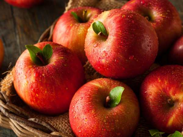 Nằm mơ thấy quả táo có điềm gì mang ý nghĩa gì thú vị