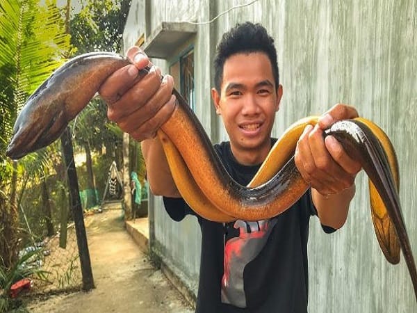 Chiêm bao thấy lươn to chết